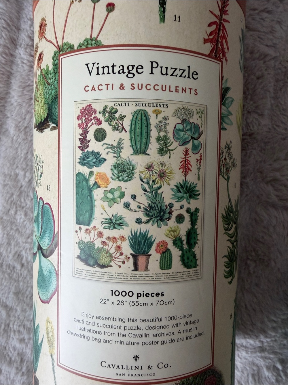 Cavallini & Co. Vintage Puzzle Set 1000-pieces - Cacti, Succulents, Flowers - Picture 3 of 4